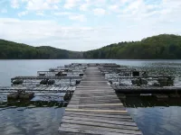 Tappan Lake Area: Sunny, peaceful Cottage with Fishing Pond on 13 Gorgeous Acres - Wifi