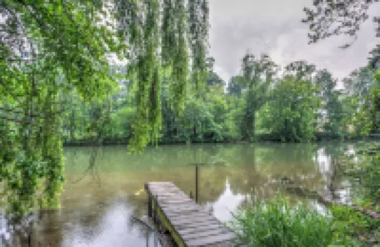 Cozy tiny home with 1 bedroom and WiFi, serene & peaceful glamping