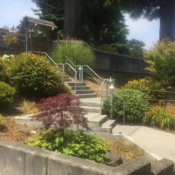 Concrete Loft in the Redwoods