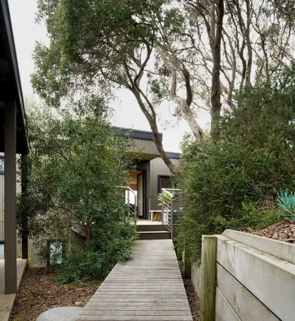 Salt Bush - Great views nestled  in the moonahs