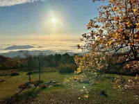 Relax at 3100 feet and enjoy the peace and tranquility