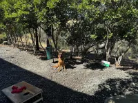 Stunning large 3-bedroom house in lovely Red Bluff with AC, WiFi Hotel dekat Rolling Hills Casino