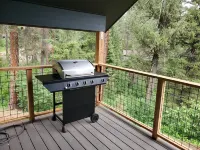 Mountain Retreat, Spacious Cabin on 2.5 acres, firepit and trails