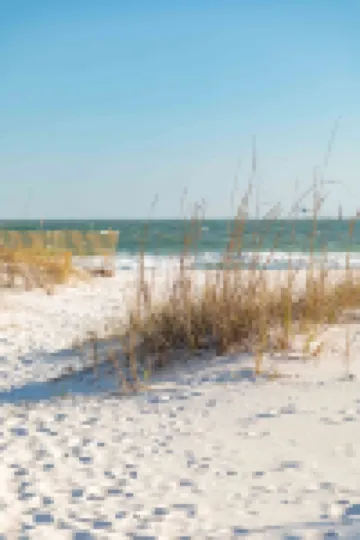 Seaclusion Beach View Cottage, Pet Friendly