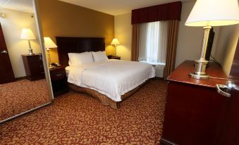 Hampton Inn & Suites Charlottesville-at the University