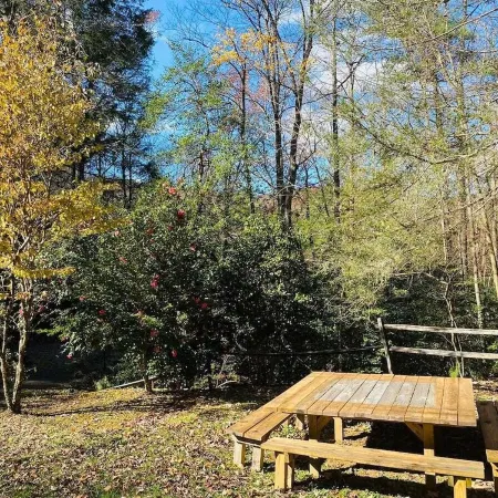 Mountain Creek Cabin VERY private 13 acres with trails, creeks. Bordering USNF!