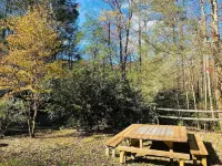 Mountain Creek Cabin VERY private 13 acres with trails, creeks. Bordering USNF!