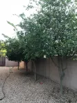 LUXURY DREAM HOME, 6 bdrm pool/hot tub, 8 flat tvs, fire pits, 5000 sq ft