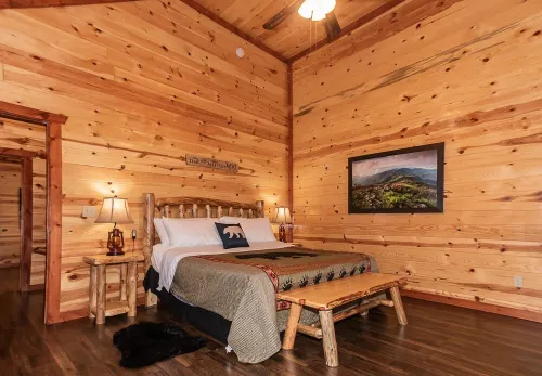 Special Pricing!! PRIVATE-IN-CABIN HEATED POOL-VIEWS- Very Clean - KING BEDS