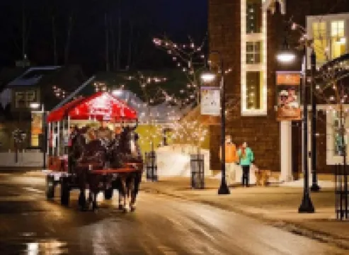 Crystal Mountain Condo Great Location Dog Friendly!