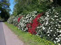 Vacation apartment "Kaminzimmer" in the 2-stall country house in the Rhodo garden. Hotels in Westerstede