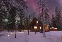 Cozy Alaskan themed cabin suitable for families or couples! King size bed, w/d