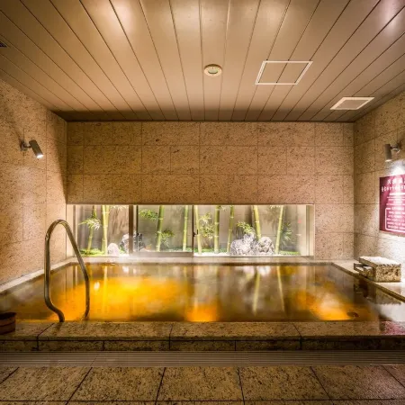 Super Hotel Premier Osaka Honmachi Ekimae Natural Hot Springs