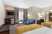 كومفرت سويتس (Comfort Suites) فنادق في تولير