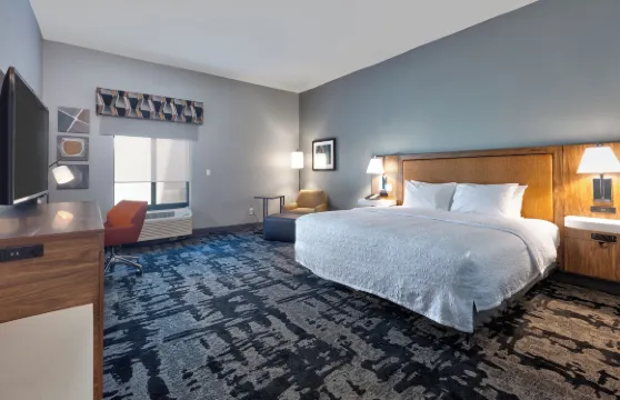 希爾頓歡朋酒店-諾福克