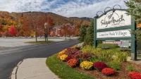 Clyde's Cabin 4 Bedroom Home Hotels in Warren