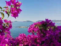 Stella di Mare - Mytouristhome - 3-Sterne