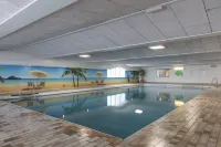 Aparthotel Delden - piscine