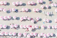 Sandpiper Beach Club - Ocean View