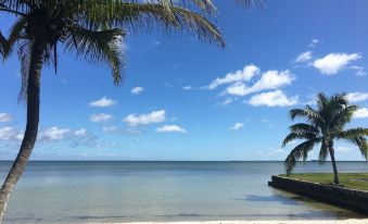 Almond Tree Hotel Resort