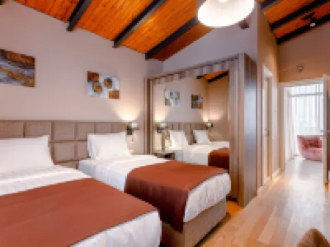 ホテルツィガ グダウリのホテル