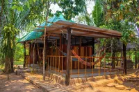 Tronco Tambopata Adventure