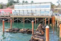 Down by the Bay  #C202 Hotels in Newport