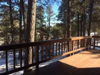 Custombuilt, Stylish Hillside 2-Bdrm Home.Views,Pines, Privacy, 3 Miles to Town.