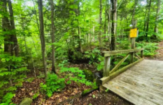 Trail Creek 33 | Condo in Killington