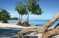 Jalsa Beach Hotel & Spa - Beach