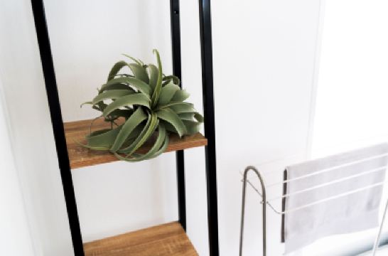 その他 LEO癒RESORT砂山の写真