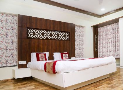 Areca Palms