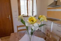 Agriturismo San Giuseppe Hotels in Piombino