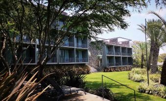 Huayacán Cuernavaca Curamoria Collection