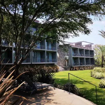 Huayacán Cuernavaca Curamoria Collection