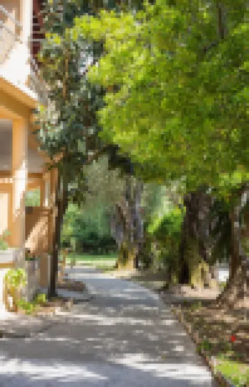 Wilde Rose Hotel