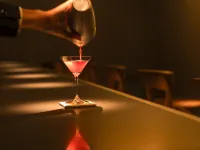 Hotel Emion Sapporo - bar
