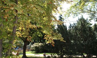 GoVienna - Charming Studio