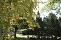 جو فيينا شارمينج ستوديو فنادق في Klosterneuburg