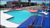 The Big Texan Motel - Swimmingpools