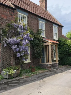 Elm Tree Farm Bed & Breakfast Hotels in 