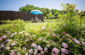The Cricketers Clavering
