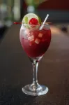 Plaza Paitilla Inn - bars