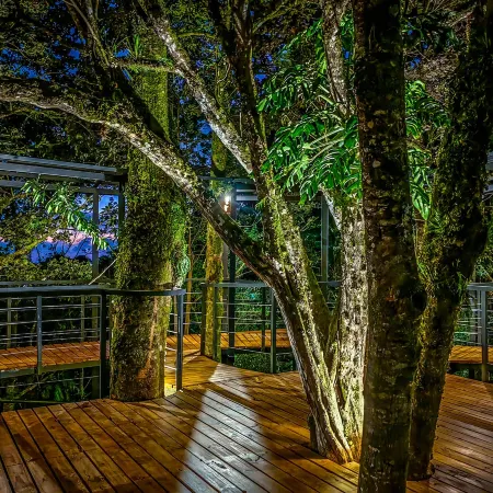 Cloud Forest Lodge