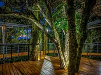 Cloud Forest Lodge