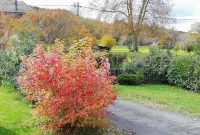 Villa Hortebise Hotels in Orthez