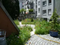 Abalon Hotel Ideal Hotels near Stuttgart Technology University of Applied Sciences