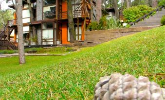 Altos Medanos Cabañas & Club de Bosque