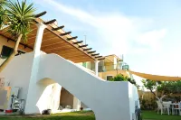 Il Leone di Mare