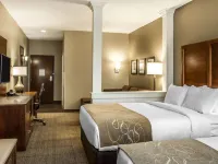 Comfort Suites Hartville-North Canton Hotels in Stark County